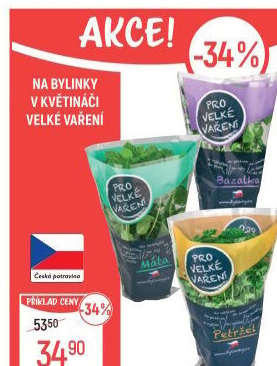 Bylinky v květináči Bylinky s.r.o.