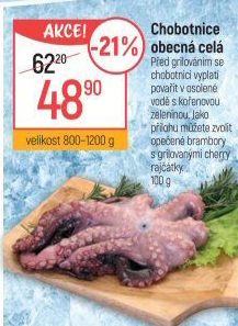 Chobotnice obecná