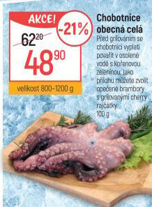 Chobotnice obecná
