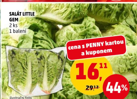 Salát little gem
