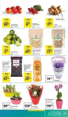 akční leták Tesco 28.2.2024-5.3.2024
