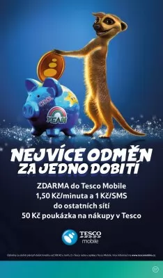 akční leták Tesco 28.2.2024-5.3.2024
