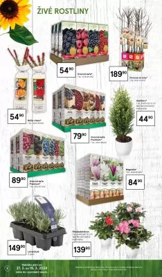 akční leták Tesco 27.2.2024-19.3.2024