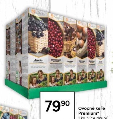 Sazenice ovocných keříků
