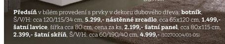 BOTNÍK