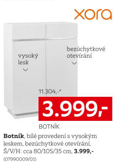 BOTNÍK