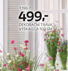 DEKORAČNÍ TRÁVA