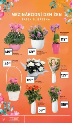 akční leták Tesco 6.3.2024-12.3.2024