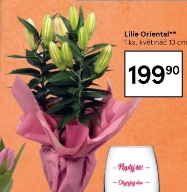 Lilie