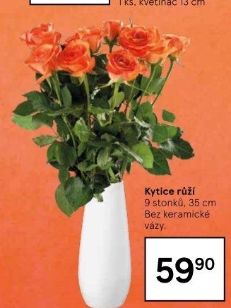 Řezané růže