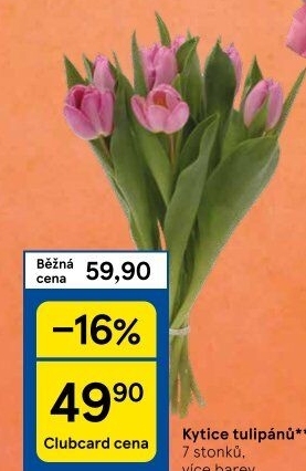 Řezané tulipány