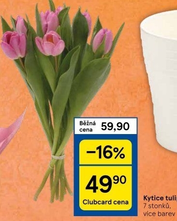 Řezané tulipány