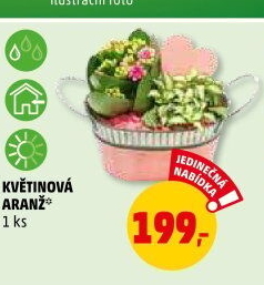 Květinové aranžmá
