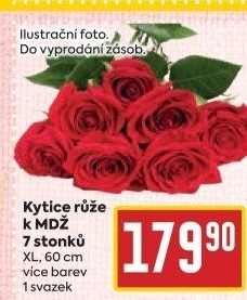 Řezané růže