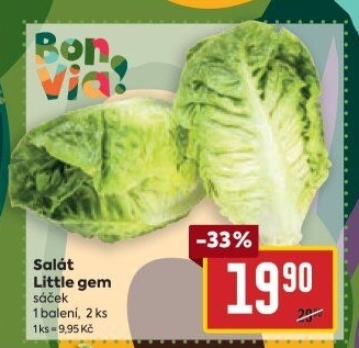 Salát little gem Billa Bonvia