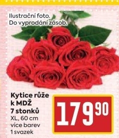 Řezané růže