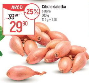 Cibule šalotka