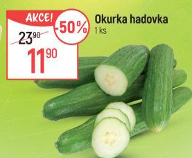 Okurka hadovka