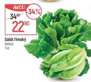 Salát římský