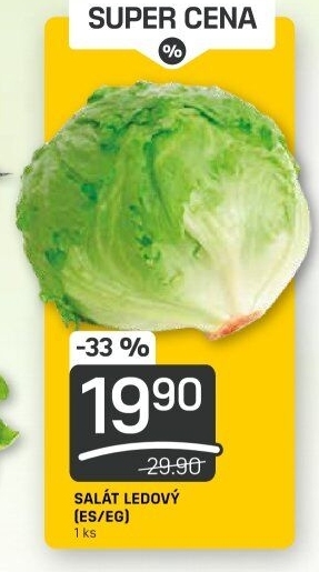 Salát ledový
