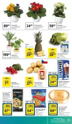akční leták Tesco 13.3.2024-19.3.2024
