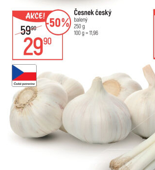 Česnek český