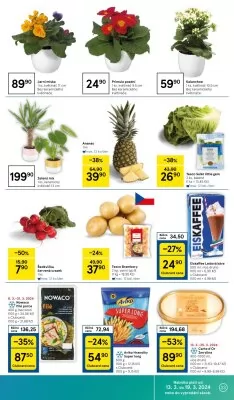 akční leták Tesco 13.3.2024-19.3.2024
