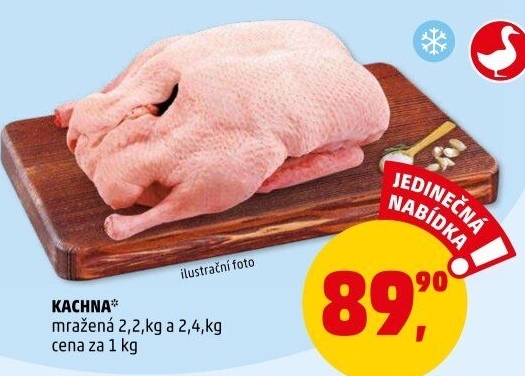 Kachna mražená