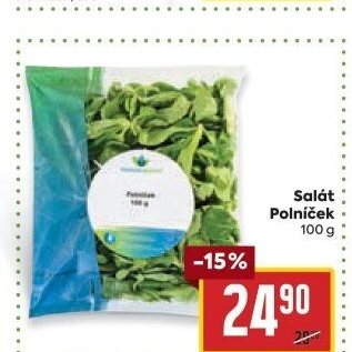 Salát Polníček Polabská zelenina