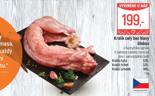 Králík Globus