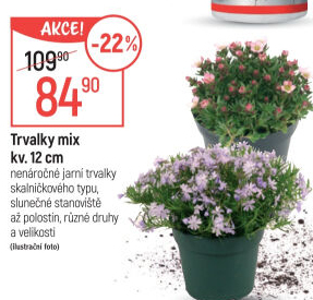 Trvalky