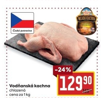 Kachna Vodňanská kachna
