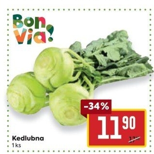 Kedlubna bílá Billa Bonvia