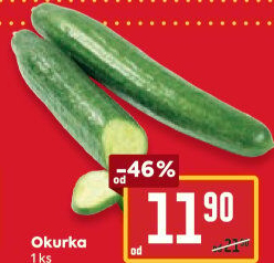 Okurka hadovka