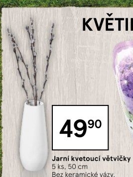 Dekorativní větve