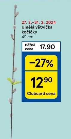 Dekorativní větve