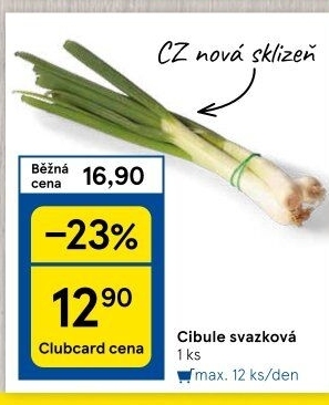 Jarní cibule svazek