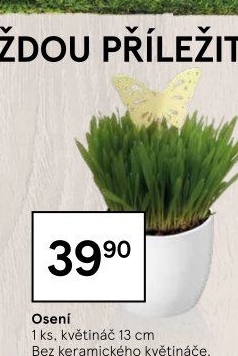 Velikonoční osení