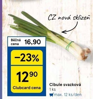 Jarní cibule svazek