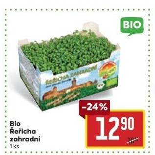 Řeřicha čerstvá bio