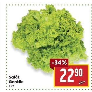 Salát Gentile