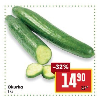 Okurka hadovka