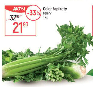 Celer řapíkatý