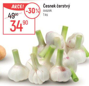 Česnek čerstvý svazek