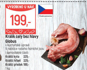Králík Globus