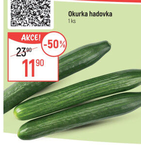 Okurka hadovka