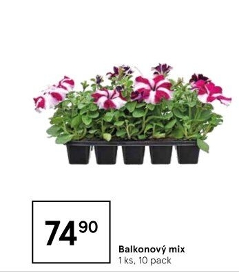 Balkonové rostliny