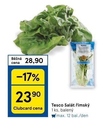 Salát římský Tesco