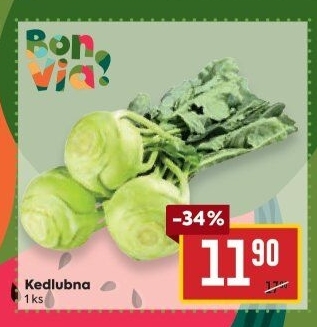 Kedlubna bílá Billa Bonvia