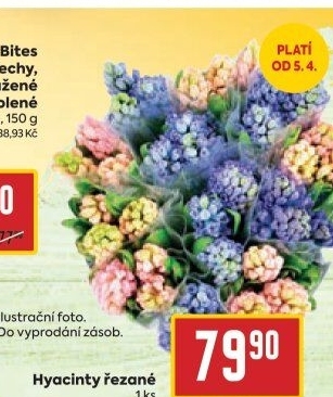 Řezané hyacinty